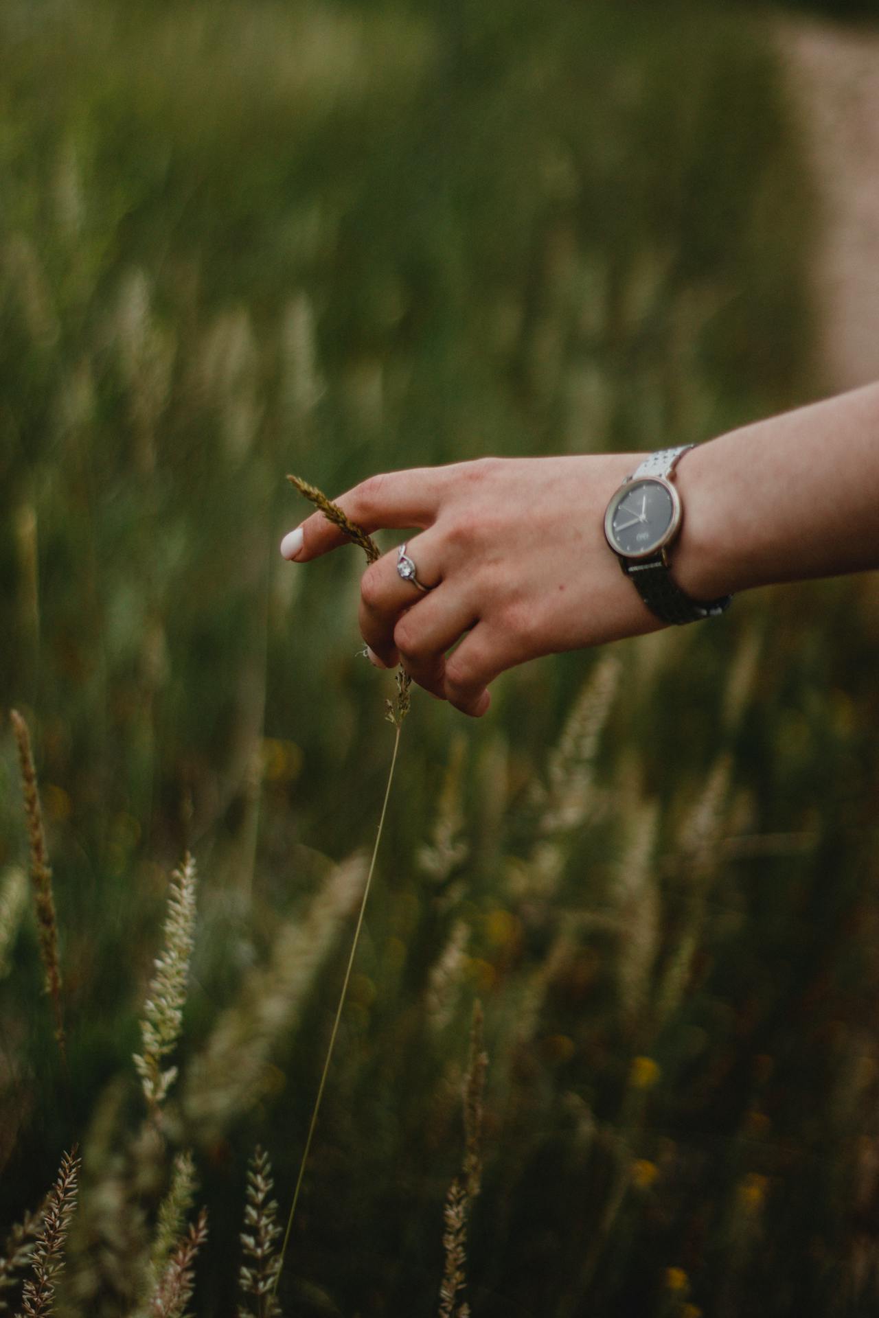 Main portant une montre au poignet dans une prairie verdoyante — horlogerie écoresponsable eHo